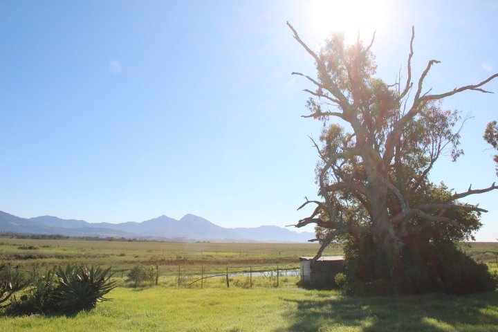 To Let 3 Bedroom Property for Rent in Klein Brak Western Cape